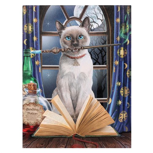 19x25cm Hocus Pocus Canvas Wall Plaque by Lisa Parker