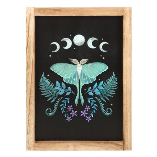 Luna Moth Wooden Framed Wall Art